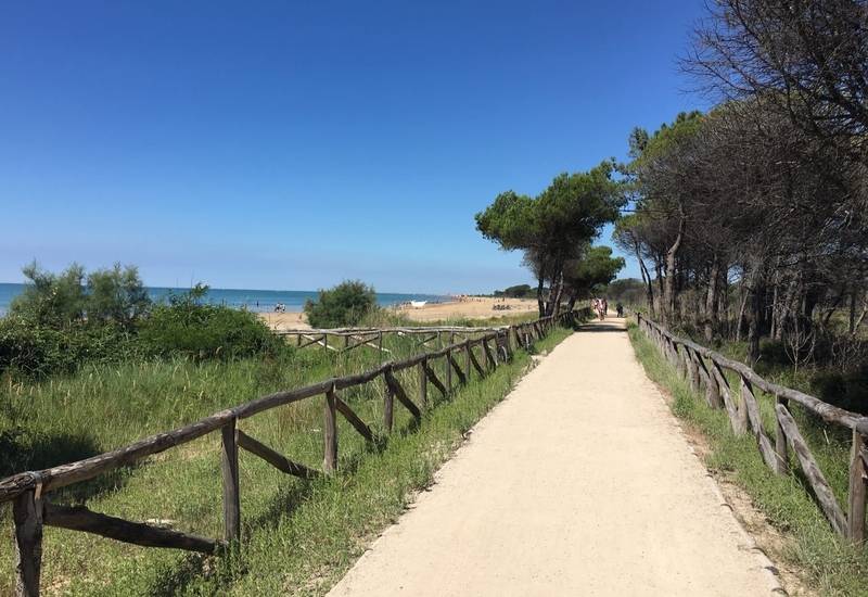 Pista ciclabile Bibione