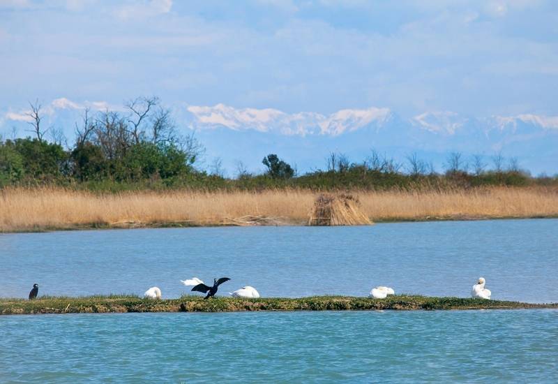 Isola Cona